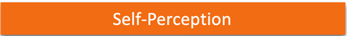 Self Perception 